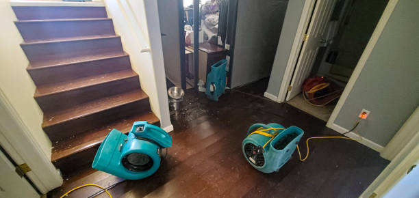 Best Sewage cleanup and water damage restoration  in Conrad, MT