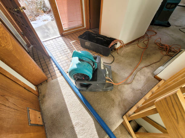 Best 24-hour water damage restoration  in Conrad, MT