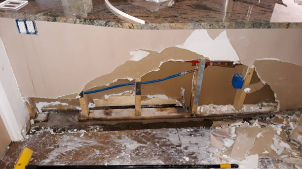 Reliable MT Water damage restoration Solutions