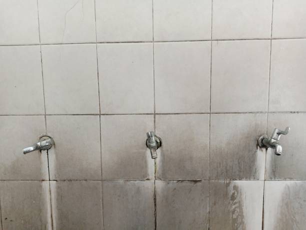 Best Water damage contractors near me  in Conrad, MT