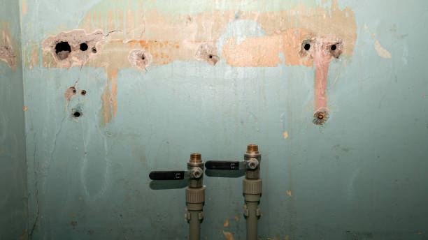 Best Ceiling water damage repair  in Conrad, MT