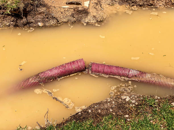  Conrad, MT Water damage restoration Pros