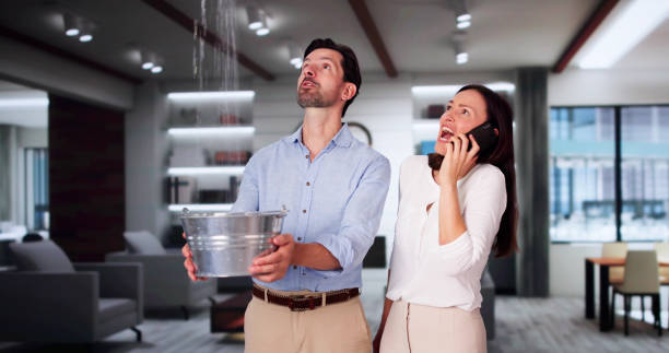 Best Carpet water damage restoration  in Conrad, MT