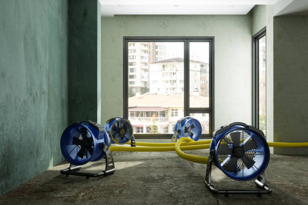 Best Sewage cleanup and water damage restoration  in Conrad, MT
