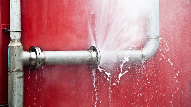 Best Professional water damage repair  in Conrad, MT